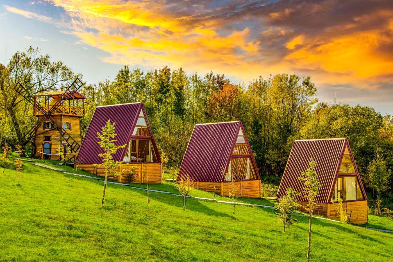 Hotel Pensiunea La Maria Lu' Sandoiu Poenari Exteriér fotografie